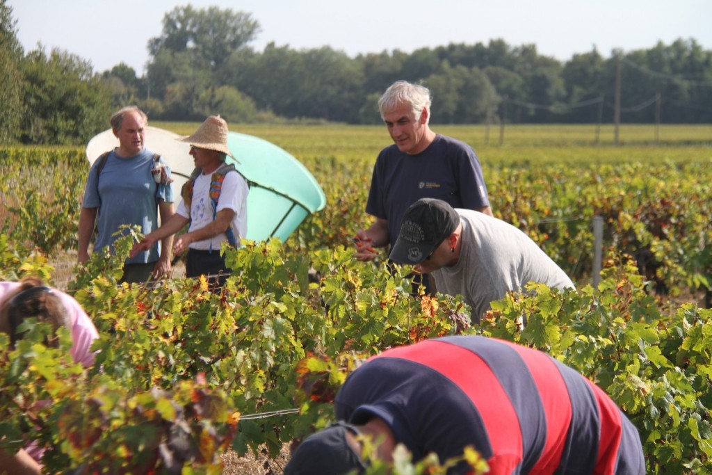 vendanges0007